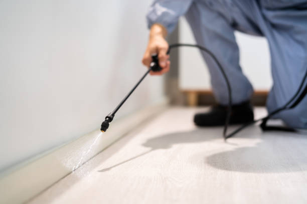 Licensed Pest Control service in Marion, MS - Nex Pest Control