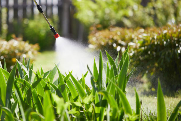 24/7 Emergency Pest Control experts in Marion, MS